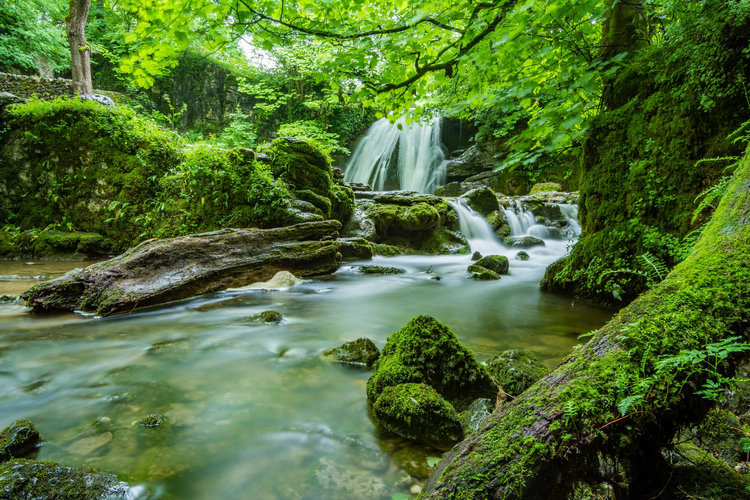 水質(zhì)測定儀